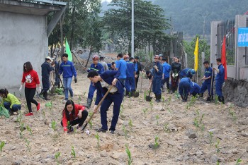 Than Hà Lầm ra quân trồng cây đầu xuân Mậu Tuất 2018