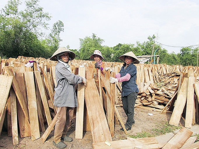 Quảng Trị: Lấp điểm trũng của khuyến công