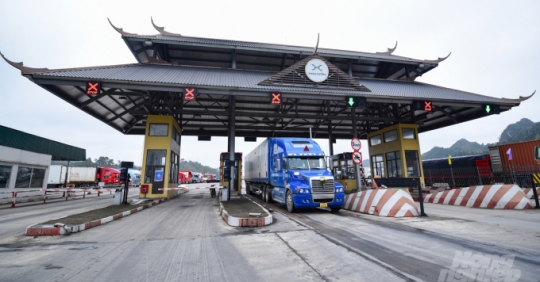 Chuyên nghiệp hóa giảm rủi ro xuất khẩu nông sản sang Trung Quốc