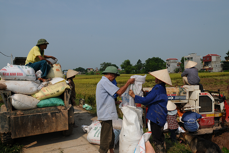 Hỗ trợ phát triển tín dụng nông nghiệp bền vững