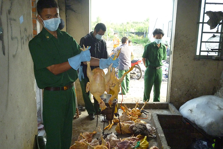 Siết hàng lậu, hàng giả từ “cửa ngõ”