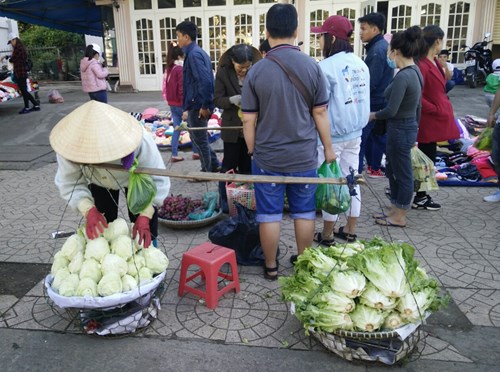Rau xanh Đà Lạt được mùa, giá rẻ bèo
