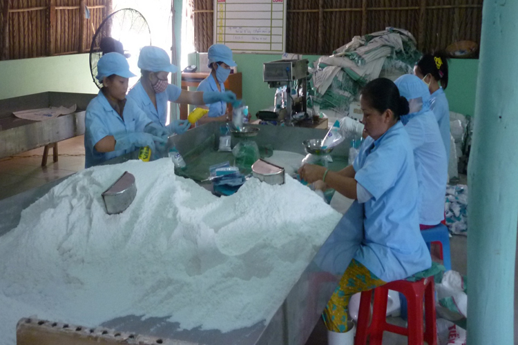 Bảo đảm nguồn cung muối công nghiệp: Xây dựng vùng nguyên liệu chất lượng cao