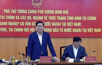 FDI cũng có nhiều doanh nghiệp ‘vốn mỏng’