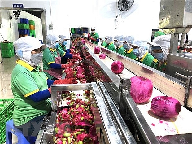 Phòng Thương mại Israel-Việt Nam - thúc đẩy hợp tác kinh tế hai nước | Kinh doanh | Vietnam+ (VietnamPlus)