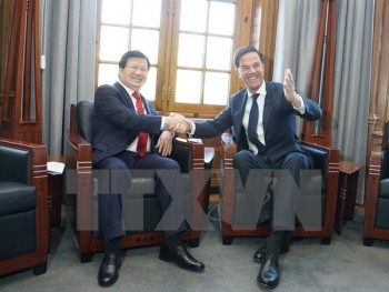 Phó Thủ tướng Trịnh Đình Dũng gặp Thủ tướng Hà Lan Mark Rutte