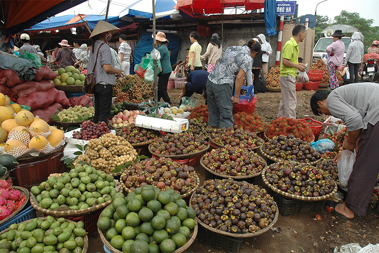 Hà Nội: Tăng chuỗi cung ứng thực phẩm an toàn