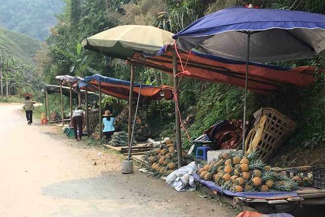 cang ban cang lo nguoi dan khoc rong tren nuong dua