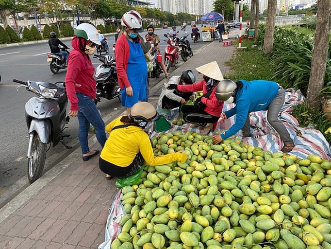 xoai vao mua tran xuong le duong gia re