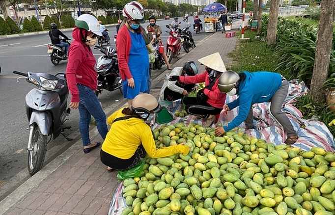 Xoài vào mùa, tràn xuống lề đường, giá rẻ