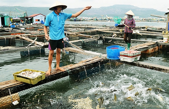 phe duyet nhiem vu lap quy hoach bao ve va khai thac nguon loi thuy san