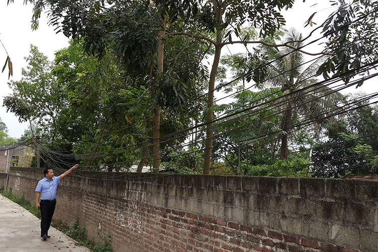 Đẩy mạnh cải tạo lưới điện hạ áp nông thôn