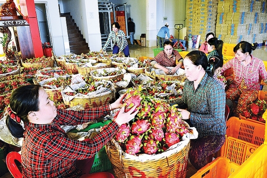 Xúc tiến thương mại: Kênh hỗ trợ chủ đạo thúc đẩy xuất khẩu