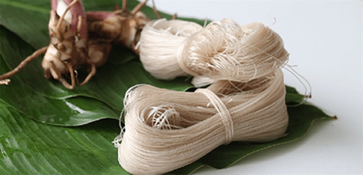 Miến dong “Bắc Kạn” có chỉ dẫn địa lý