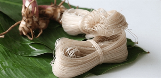 mien dong bac kan co chi dan dia ly