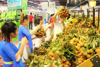 Bắc Giang: Vải thiều được giá, tiêu thụ thuận lợi