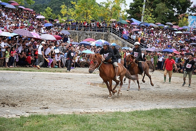 lan dau tien le hoi dua ngua truyen thong vung cao duoc to chuc tai fansipan