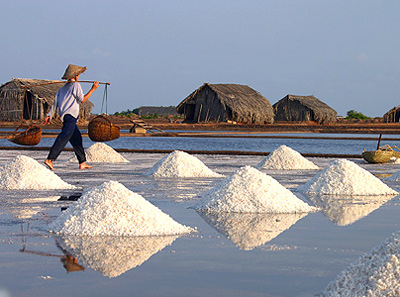Triển khai thu mua muối tạm trữ cho diêm dân