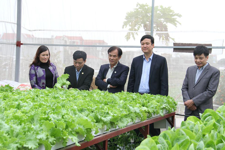 Huyện Việt Yên (Bắc Giang): Phấn đấu trở thành huyện công nghiệp