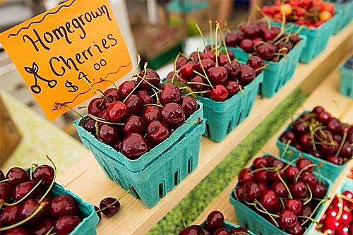 cherry my o at ve viet nam voi gia re