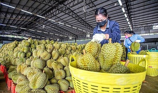 Hàng hóa ASEAN tận dụng gói tạo thuận lợi thương mại Hiệp định RCEP