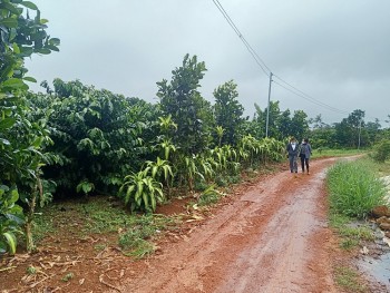 Lâm Đồng: Thu hút đầu tư nhưng để doanh nghiệp tự “bơi”