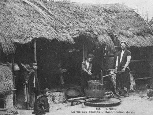 Dân cày có ruộng: Lịch sử và hiện tại