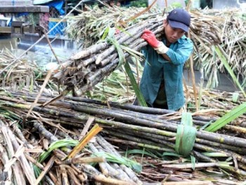 Nghịch lý đường nhiều - giá cao