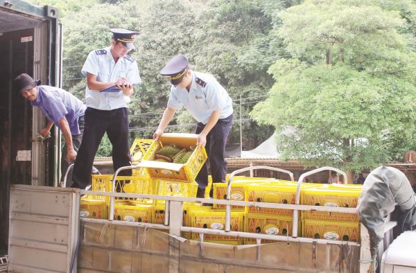 Xuất khẩu trái cây: “Mỏ vàng” chưa khai phá hết