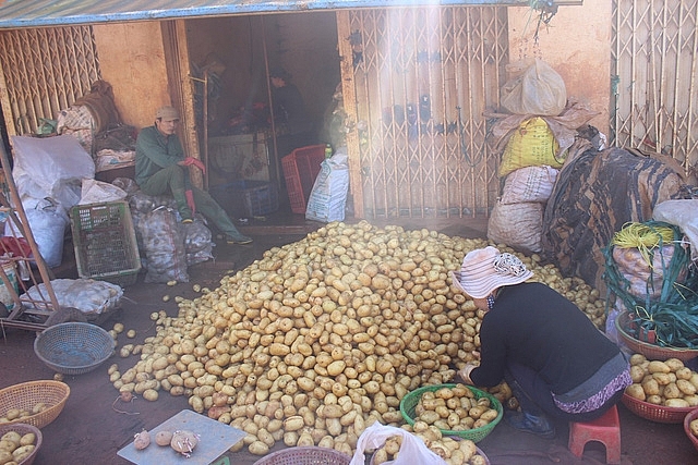 gan tem cho khoai tay da lat de chong hang trung quoc gia danh