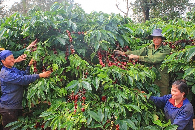 ppp trong nong nghiep van lung tung