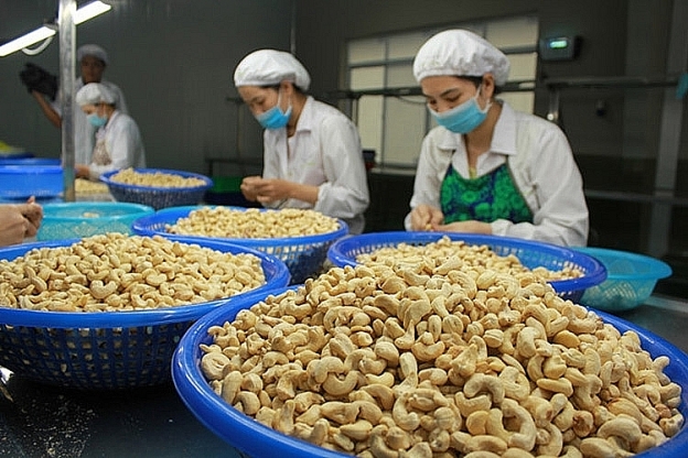 Kim ngạch nhập khẩu hạt điều giảm hơn 1 tỷ USD