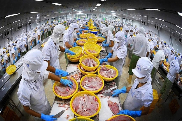 Tận dụng CPTPP, doanh nghiệp xuất khẩu cá tra sang Mexico tăng hơn 2 lần