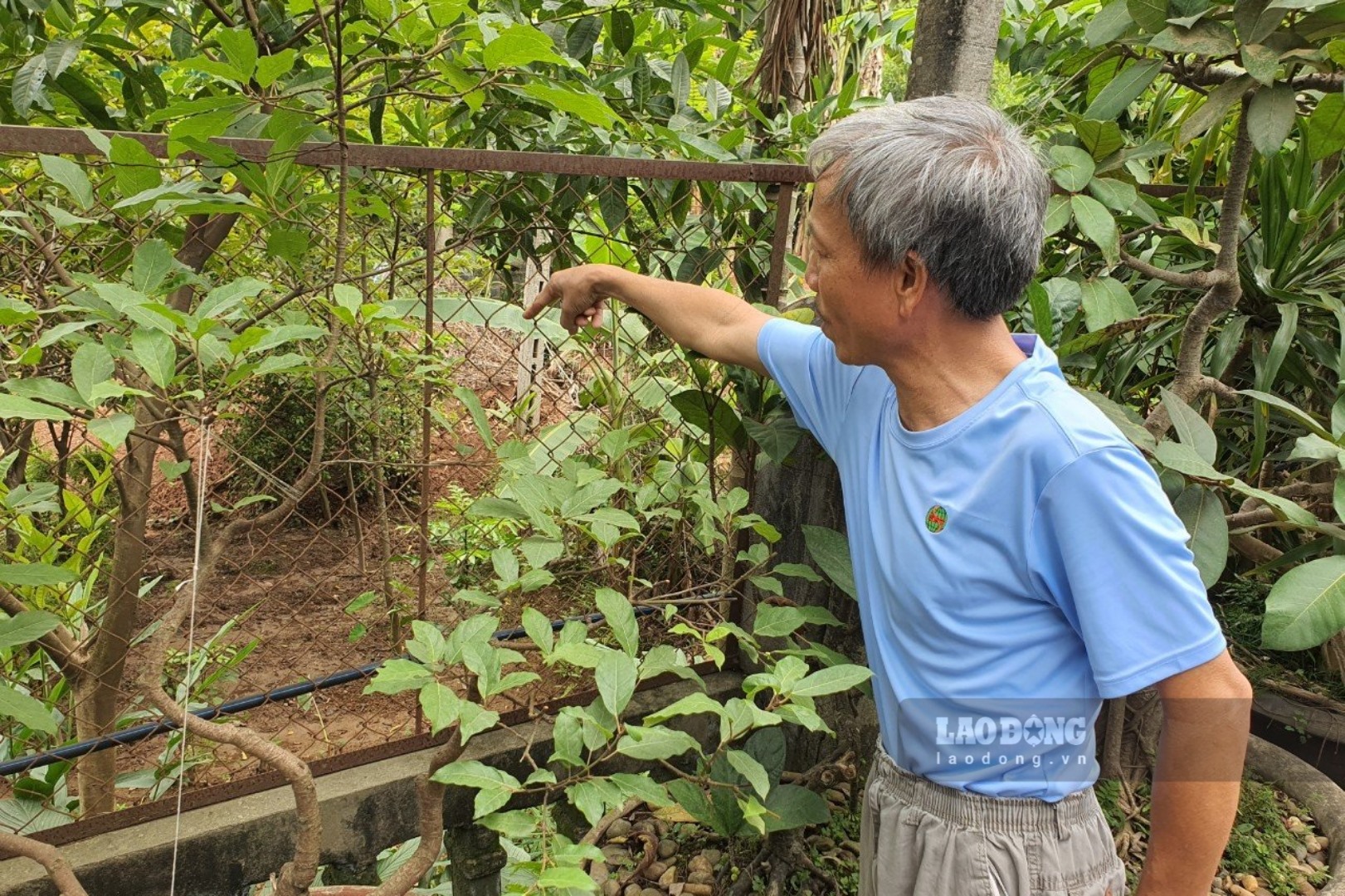 Tự phản san lấp để làm nhà, tất cả các hộ đều khó khăn, vất vả và thiếu thốn khi trở về nơi ở mới.