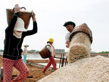 Sản xuất muối công nghiệp - Kỳ II: Giải bài toán chất lượng