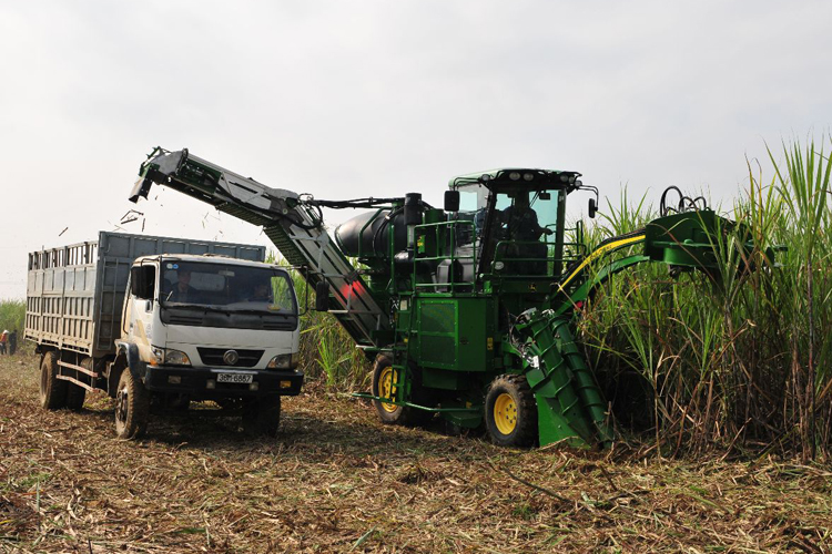 Gia tăng giá trị sản phẩm đường: Đầu tư chiều sâu