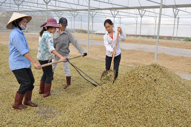 Đầu tư công nghệ: “Chìa khóa” cho nông sản Việt sang AEC