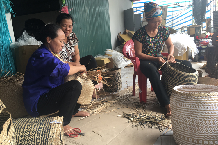 Thành công nhờ sáng tạo