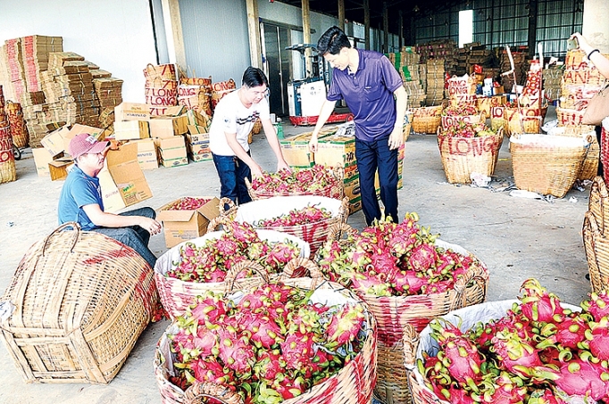 xuat khau rau qua sang trung quoc phai thay doi tu tu duy