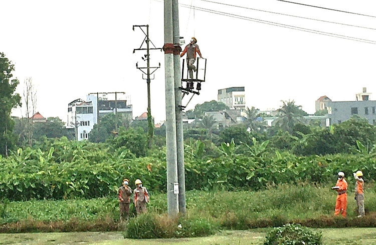 PC Hải Phòng kiểm tra đồng vị pha lưới điện 35kV để thực hiện hòa trung thế