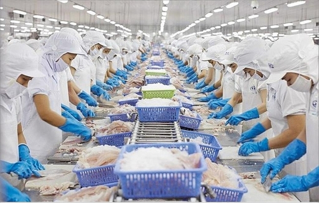 Giá tốt, cá tra xuất khẩu được ưa chuộng tại Anh