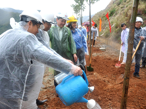 EVN: Tăng cường bảo vệ môi trường rừng và nguồn nước