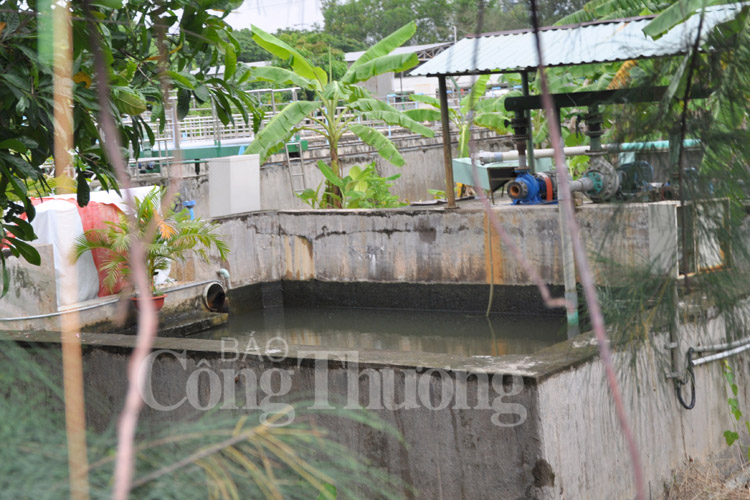 TP. Hồ Chí Minh: Nỗi lo ô nhiễm môi trường - Kỳ I: Ô nhiễm từ rác và nước thải