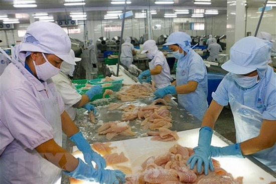 du bao kim ngach xuat khau thuy san sang thi truong eu giam 20