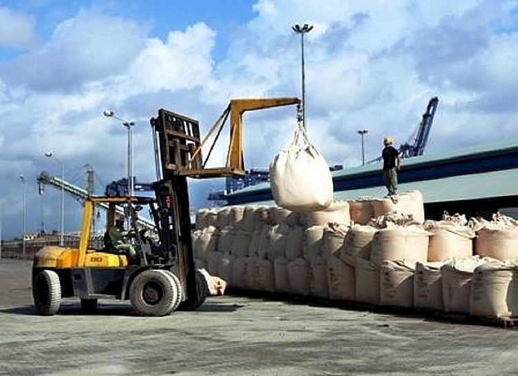 Xi măng: Tiêu thụ nội địa giảm, xuất khẩu tăng