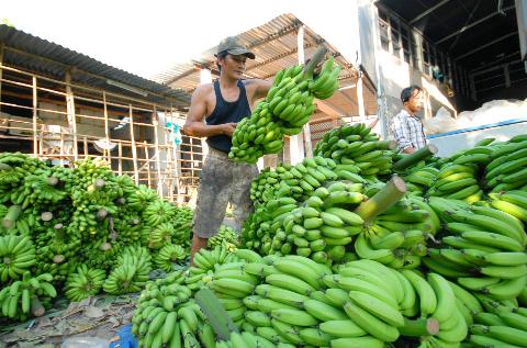 “Học” nhiều, “hành” không nổi?