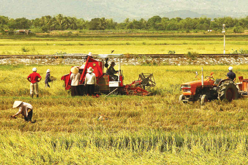 Cú huých mạnh cho nông nghiệp