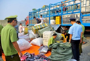 Hải quan Hải Phòng: Tăng cường phòng chống gian lận thương mại