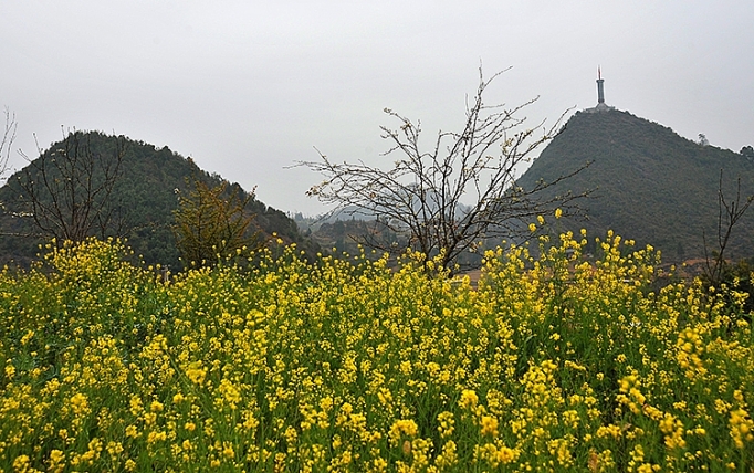 thi truong du lich tet nhu cau tang cao gia on dinh