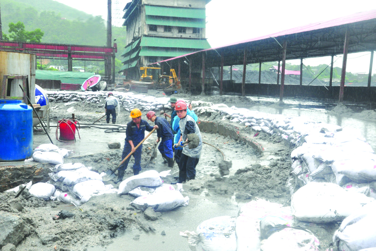 Công đoàn Than - Khoáng sản Việt Nam: Chung tay chăm lo đời sống người lao động